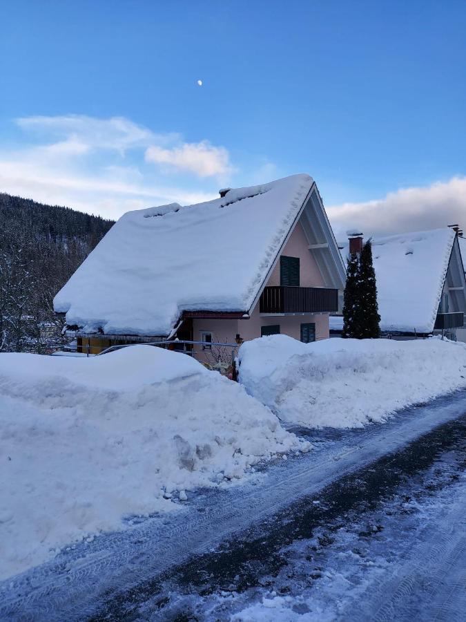 Ferienhaus Barbey St. Blasien Kültér fotó