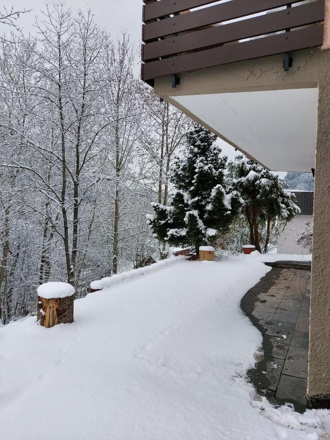 Ferienhaus Barbey St. Blasien Kültér fotó