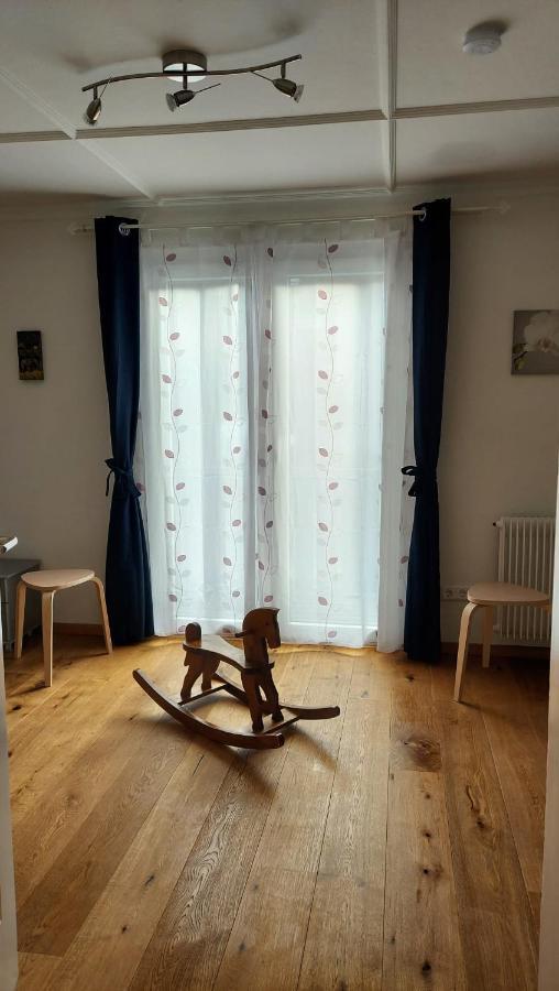 Ferienhaus Barbey St. Blasien Kültér fotó