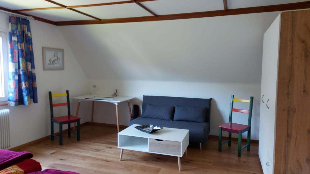 Ferienhaus Barbey St. Blasien Kültér fotó