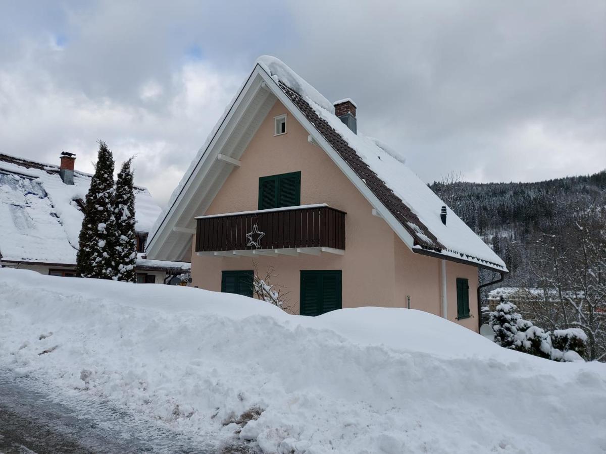 Ferienhaus Barbey St. Blasien Kültér fotó