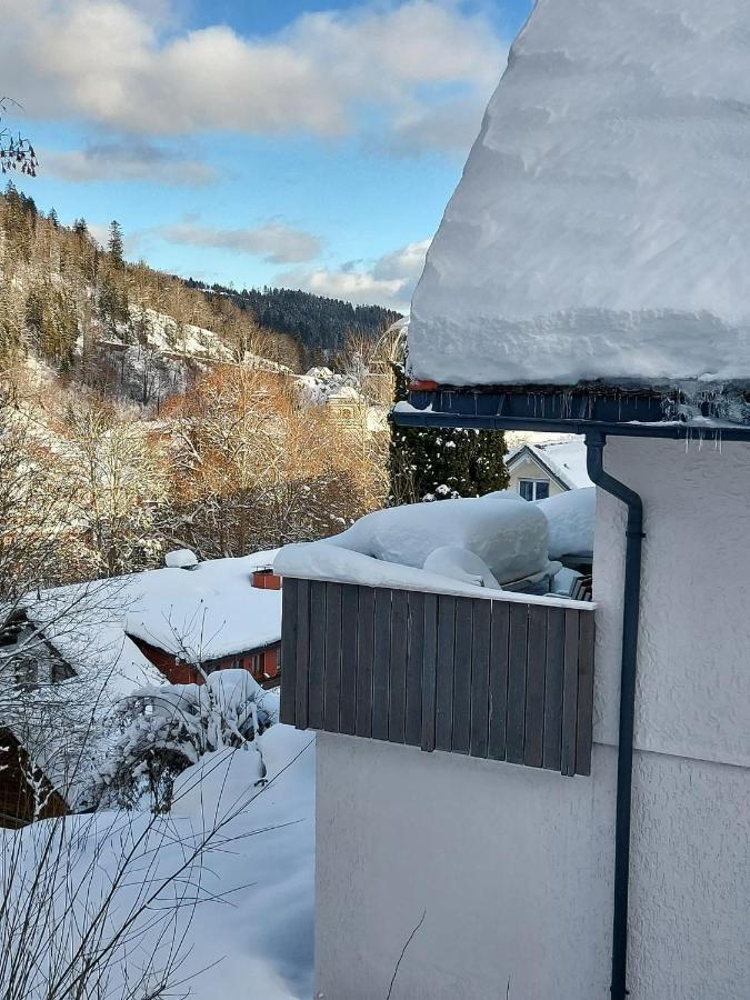 Ferienhaus Barbey St. Blasien Kültér fotó