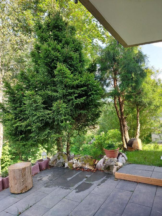Ferienhaus Barbey St. Blasien Kültér fotó