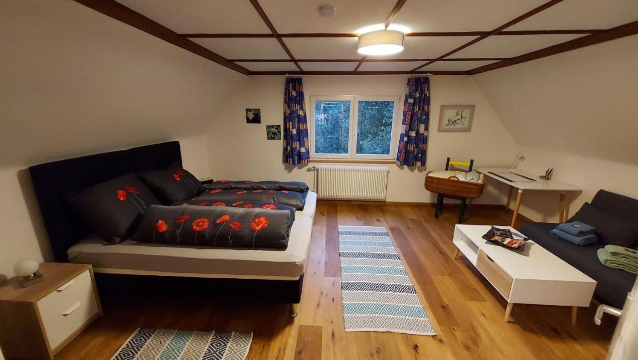 Ferienhaus Barbey St. Blasien Kültér fotó