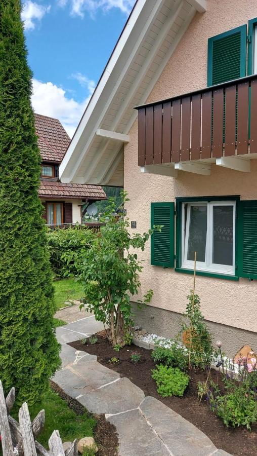 Ferienhaus Barbey St. Blasien Kültér fotó